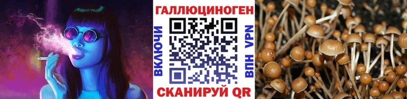 что такое наркотик  Шумиха  мега ССЫЛКА  Псилоцибиновые грибы Cubensis 