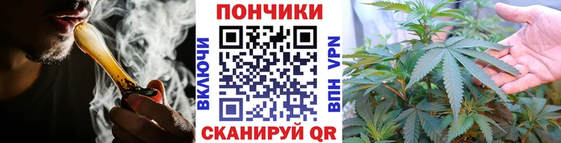 Бошки марихуана семена  Шумиха 